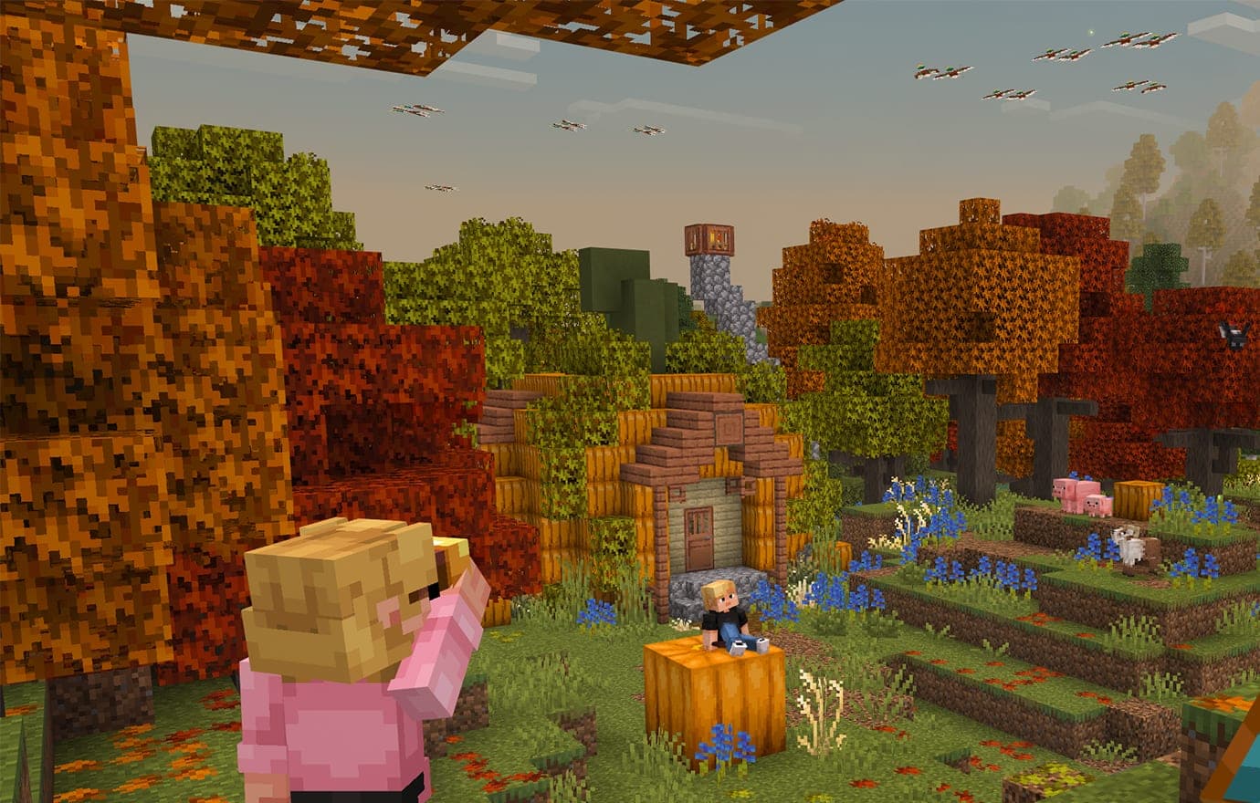 Naturalist Biomes key art