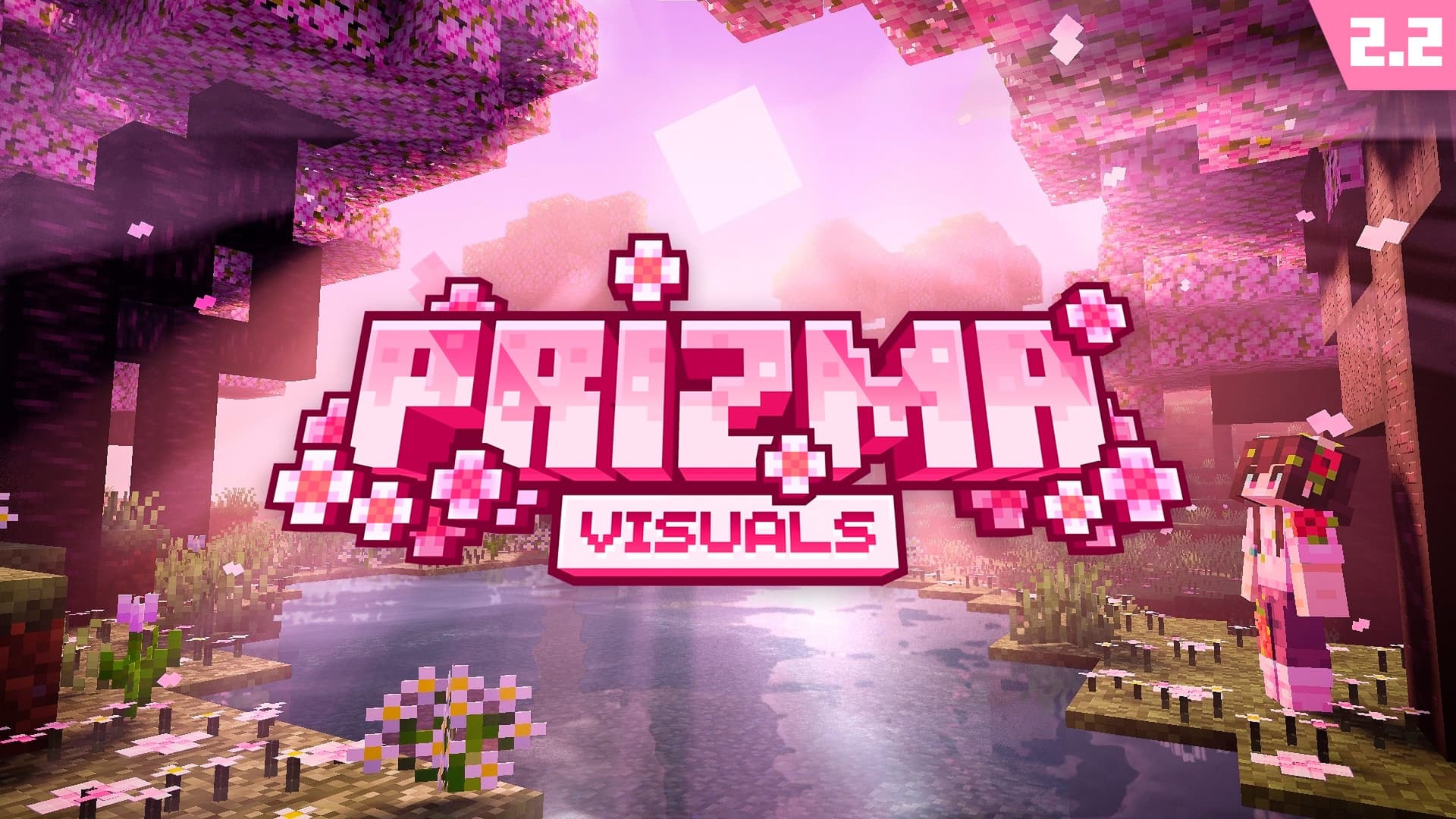 Prizma Visuals cover art